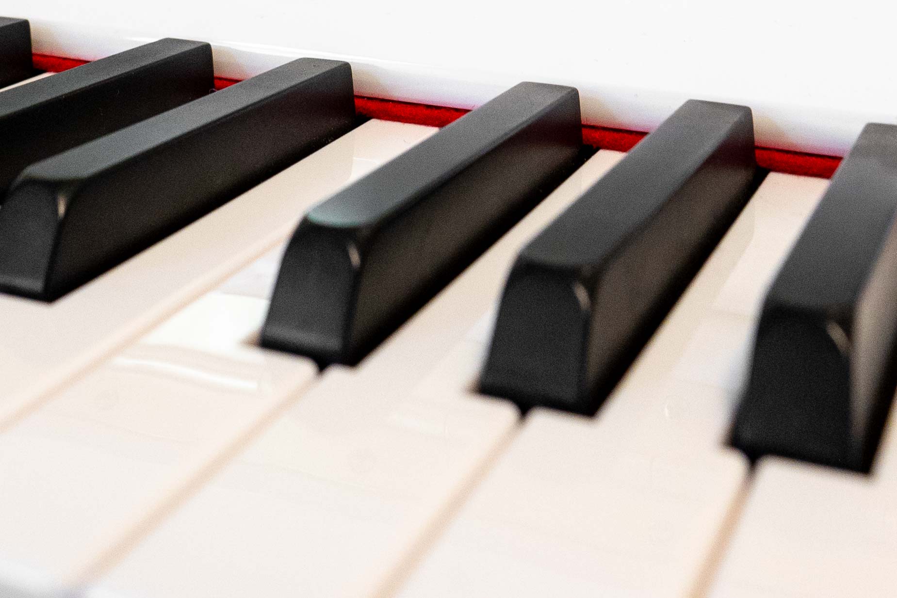 vielfältig, kompetent, engagiert!Die Musikschulen des bdfm